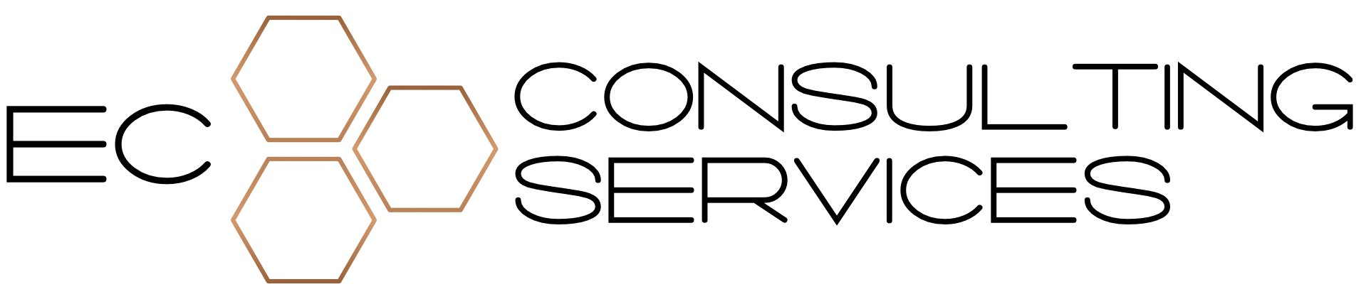 EC Consulting Services